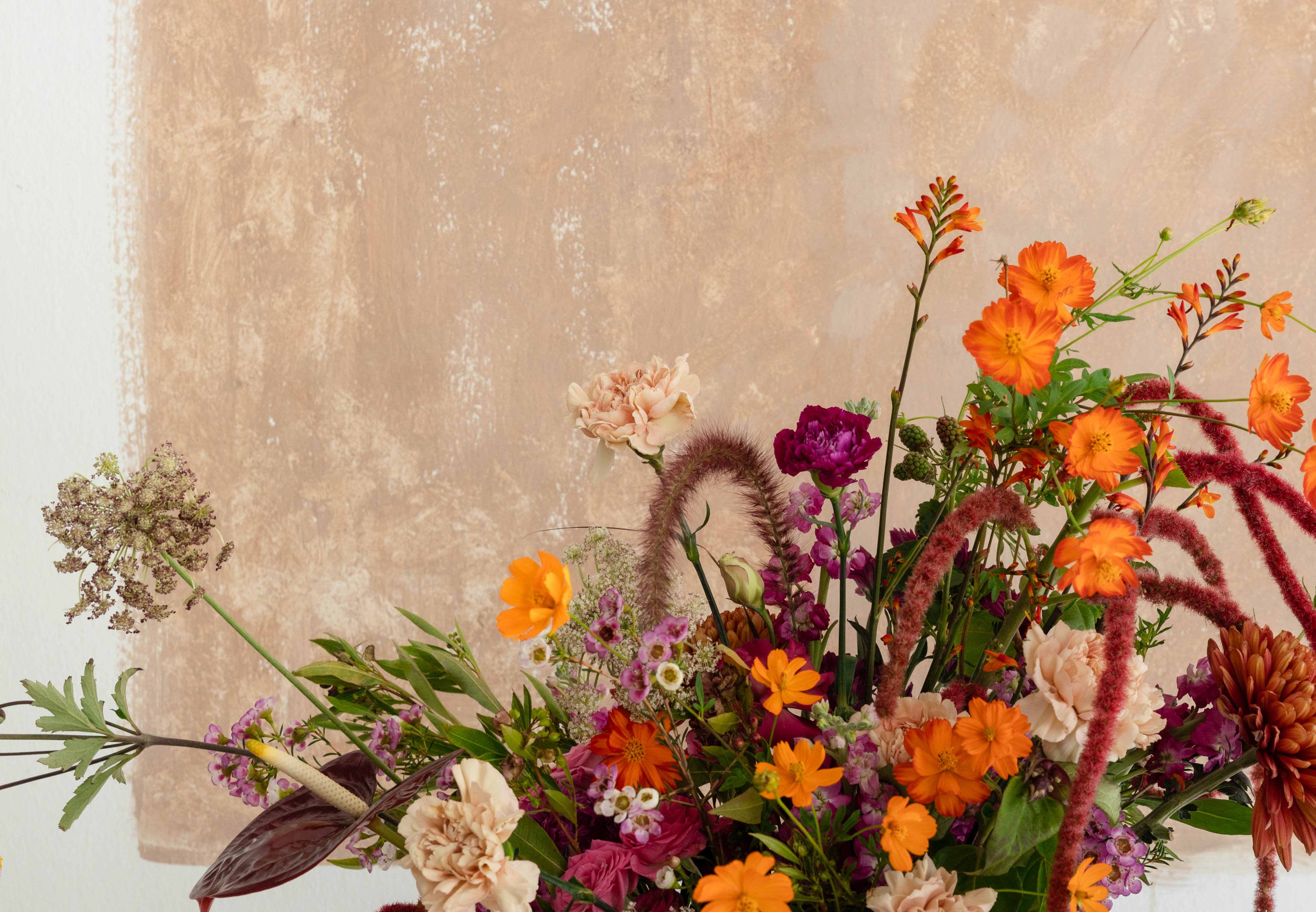 8+ Filler Flowers Types Of Fillers For Arrangements 8 Filler Flowers To Make Your
