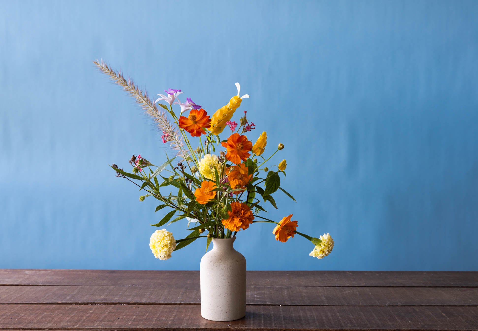 Lemon Balm | Locally-Grown Garden Flowers in Singapore by CPF