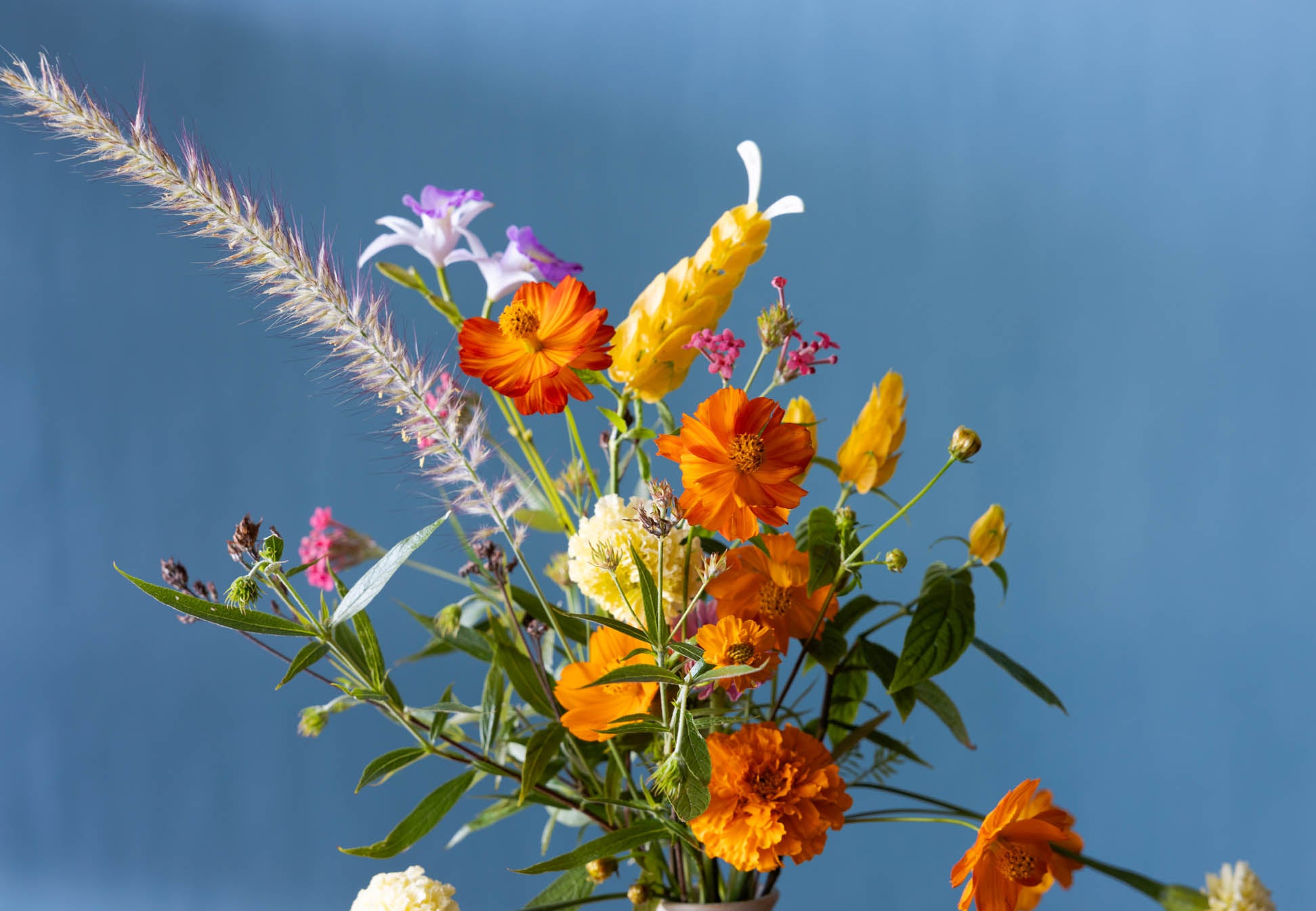 Lemon Balm | Locally-Grown Garden Flowers in Singapore by Charlotte Puxley Flowers