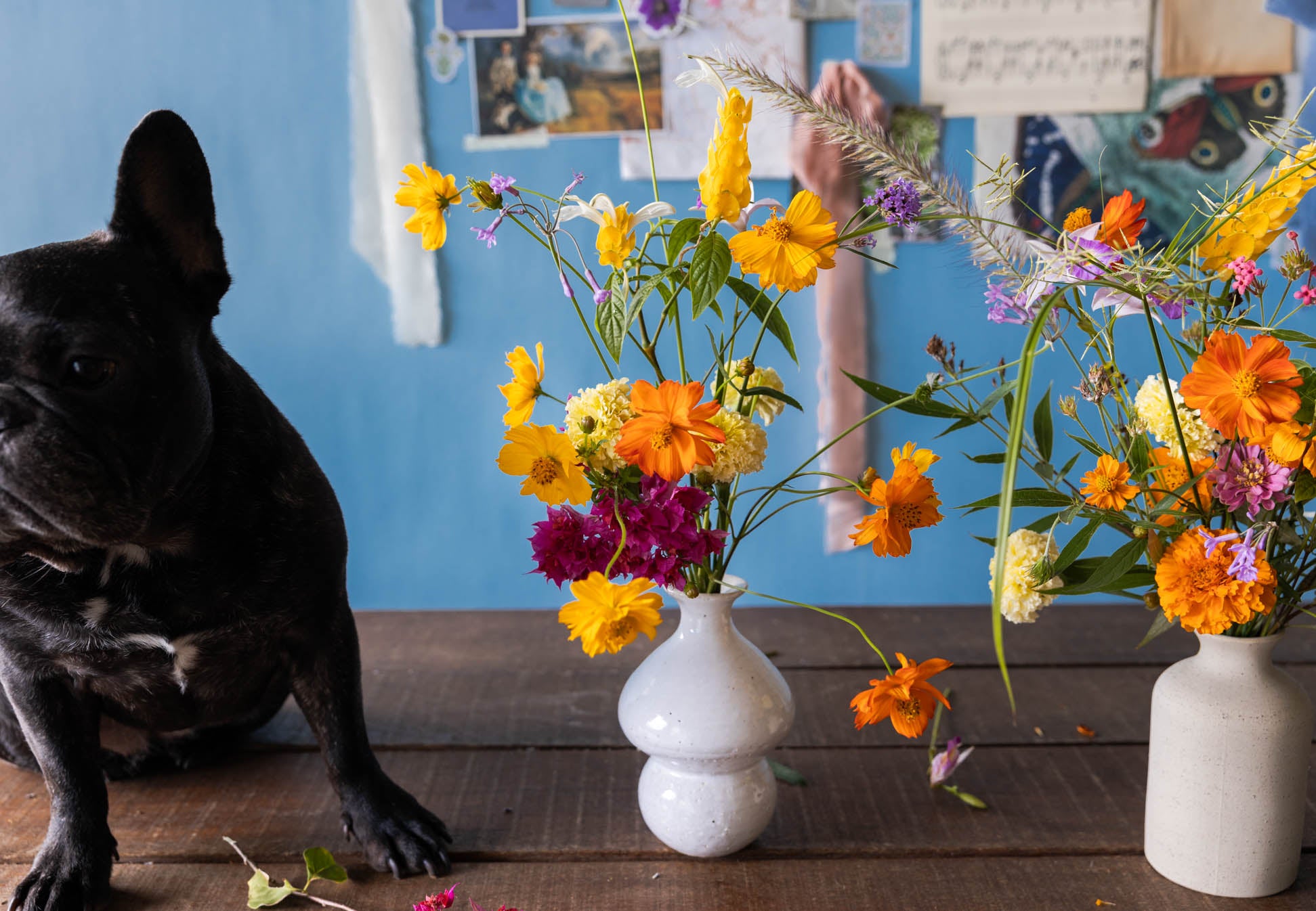 Coral Vine: Locally-grown Garden Flowers in Singapore