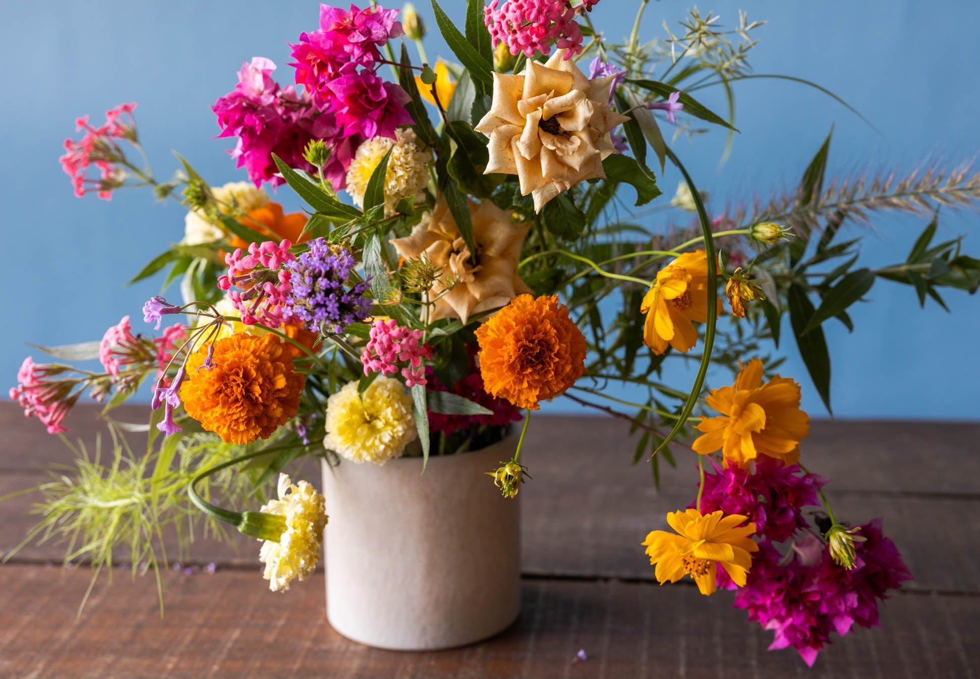 Field Peas | Locally-Grown Garden Flowers Singapore