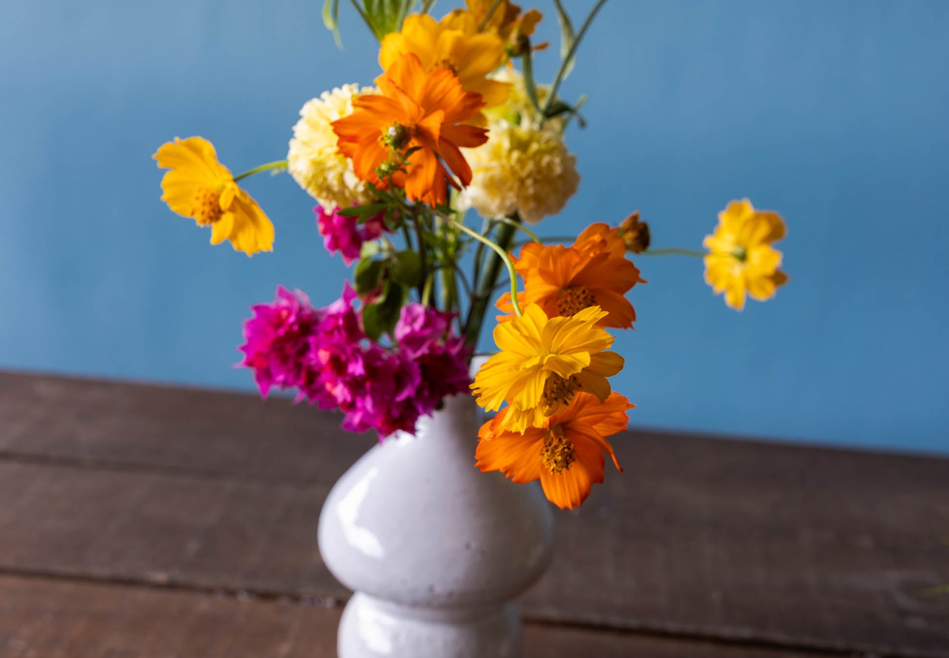 Coral Vine | Locally-grown Garden Flowers Singapore