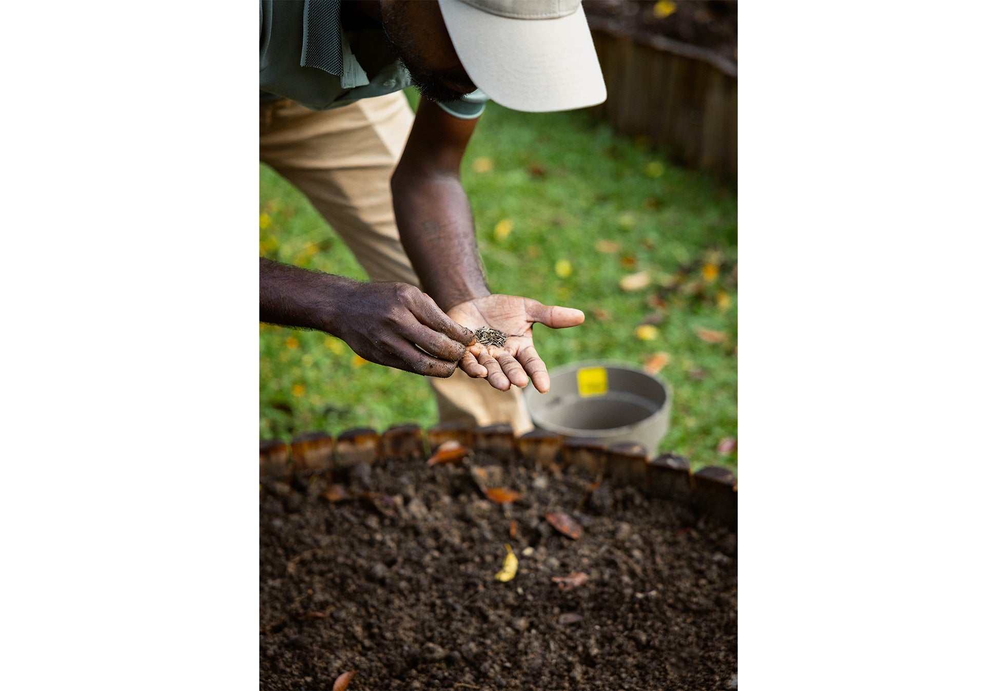 Field Peas: Locally-Grown Garden Flowers in Singapore