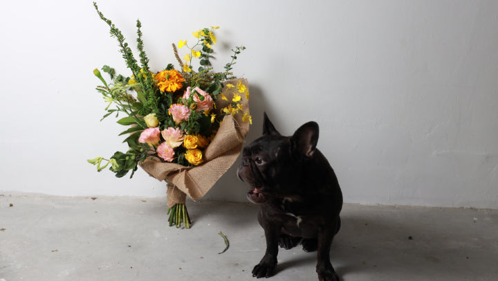Floral Subscriptions: Why They Make The Perfect Gift