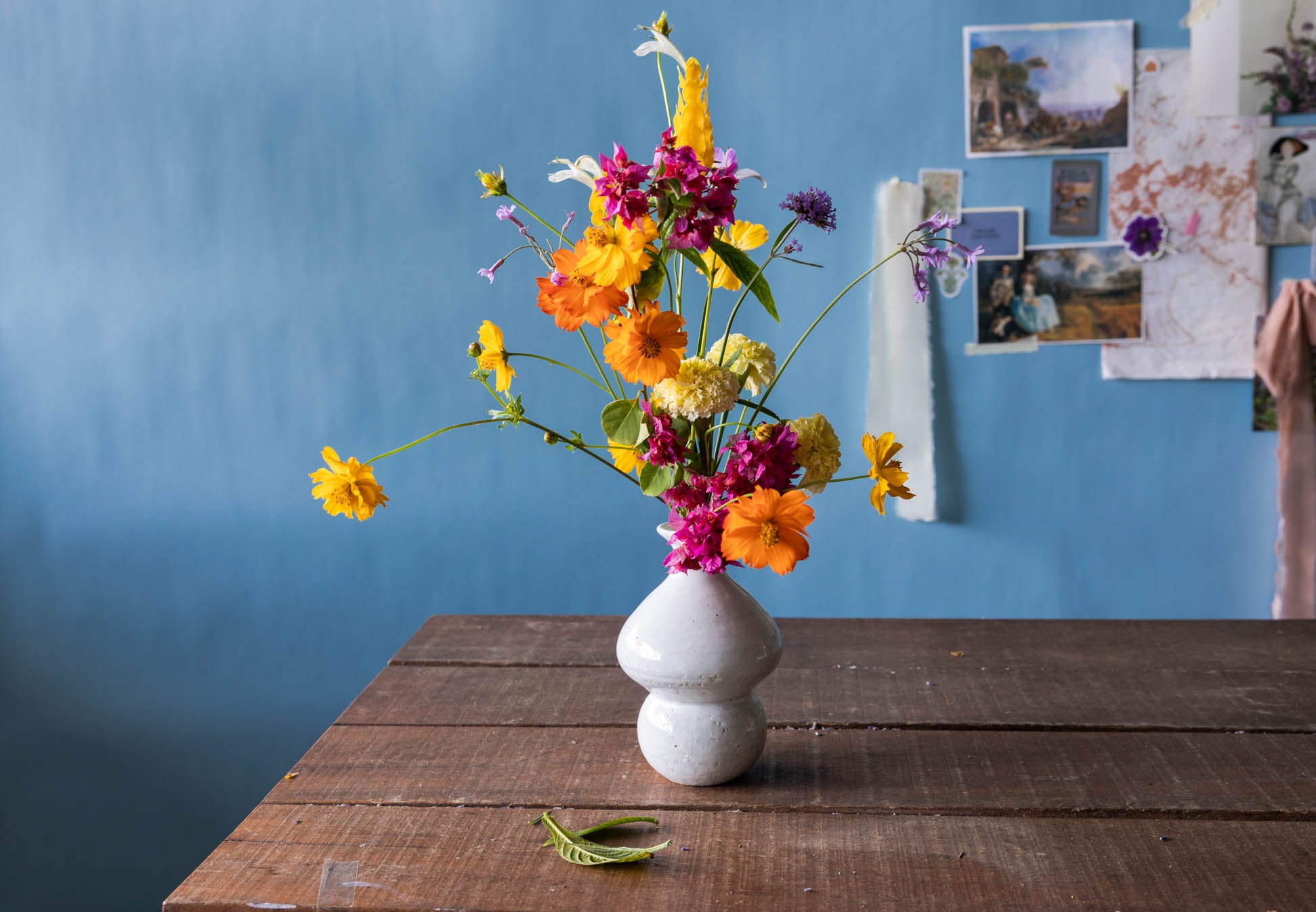 Coral Vine | Locally-grown Garden Flowers in Singapore