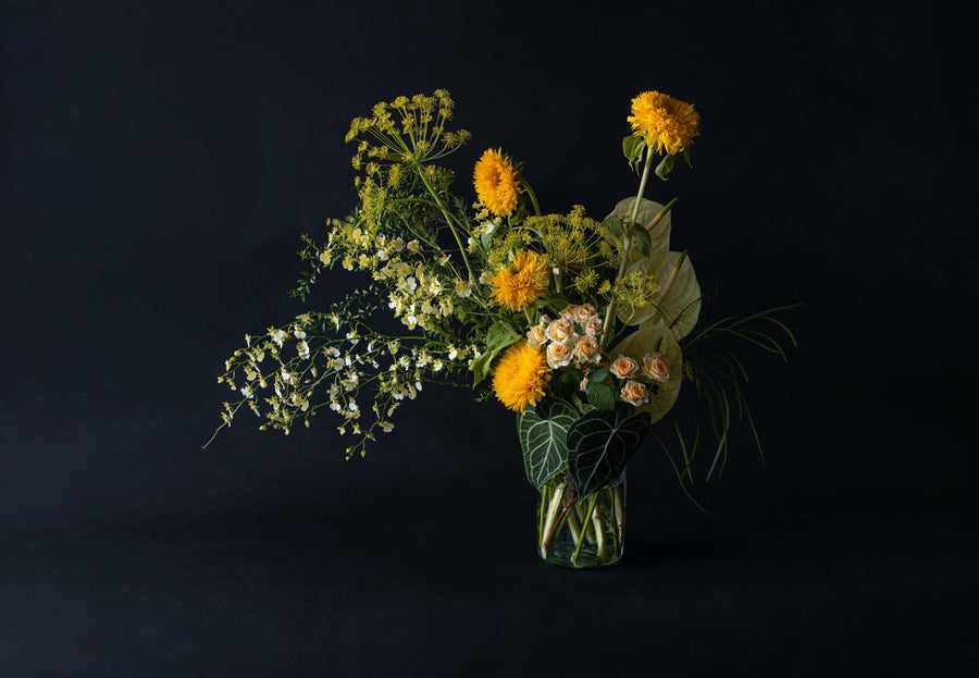 Marshmallow Yellow