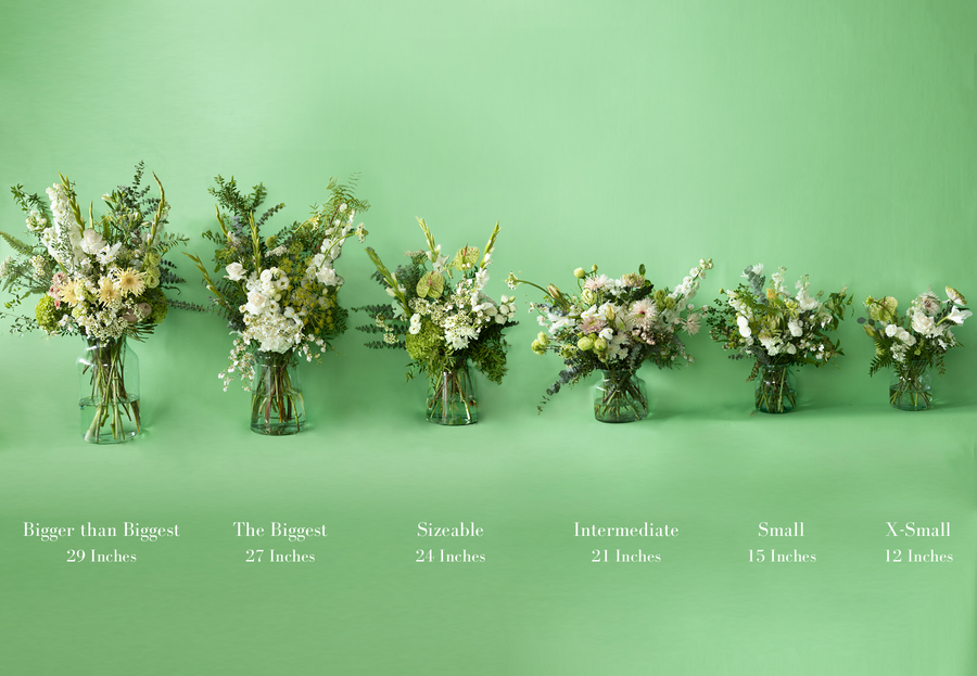 Clean and Green | Daily Floral's Sizes