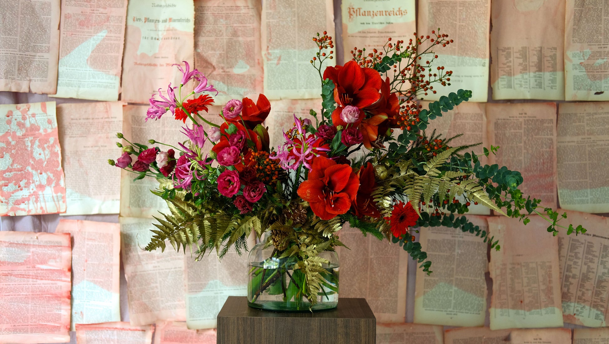 Seasonal Reds Amaryllis