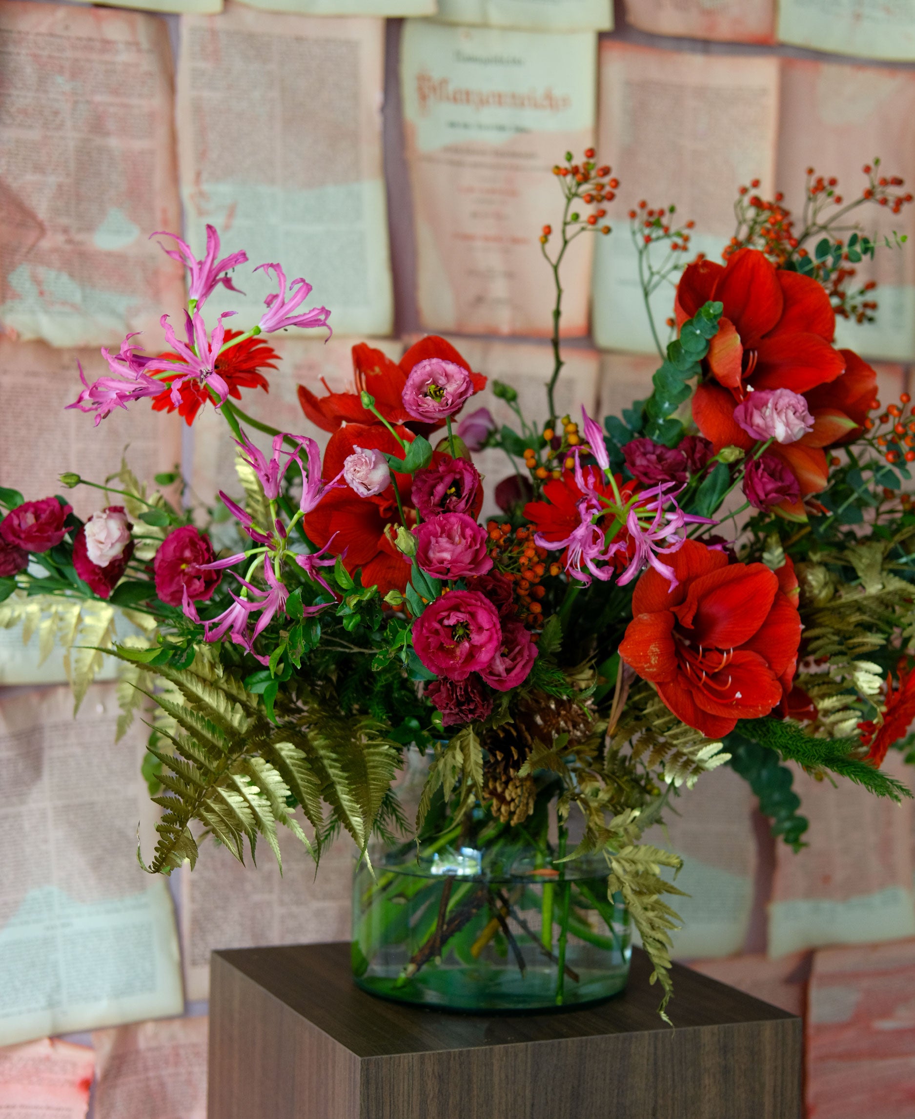 Seasonal Reds Amaryllis