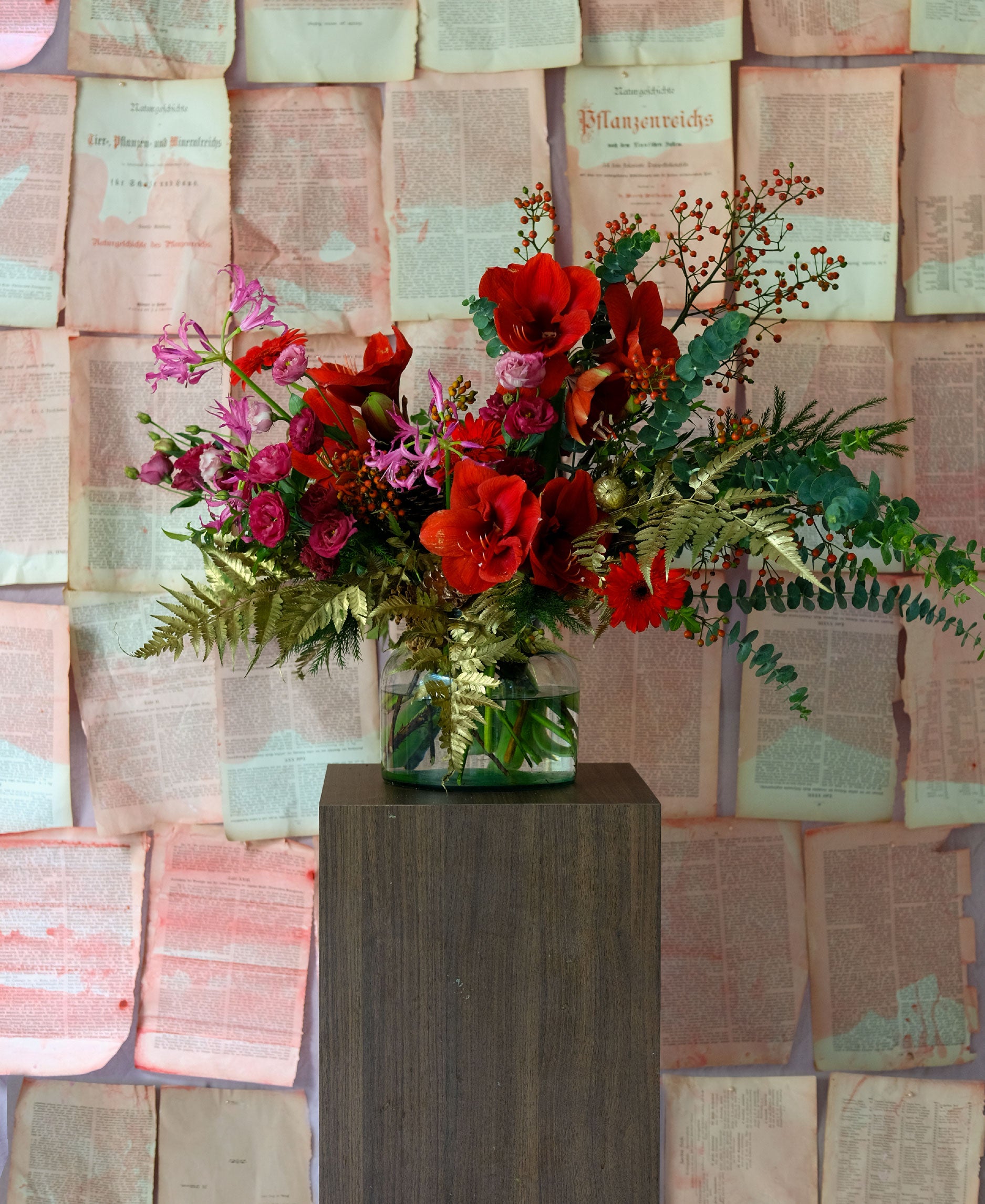 Seasonal Reds Amaryllis