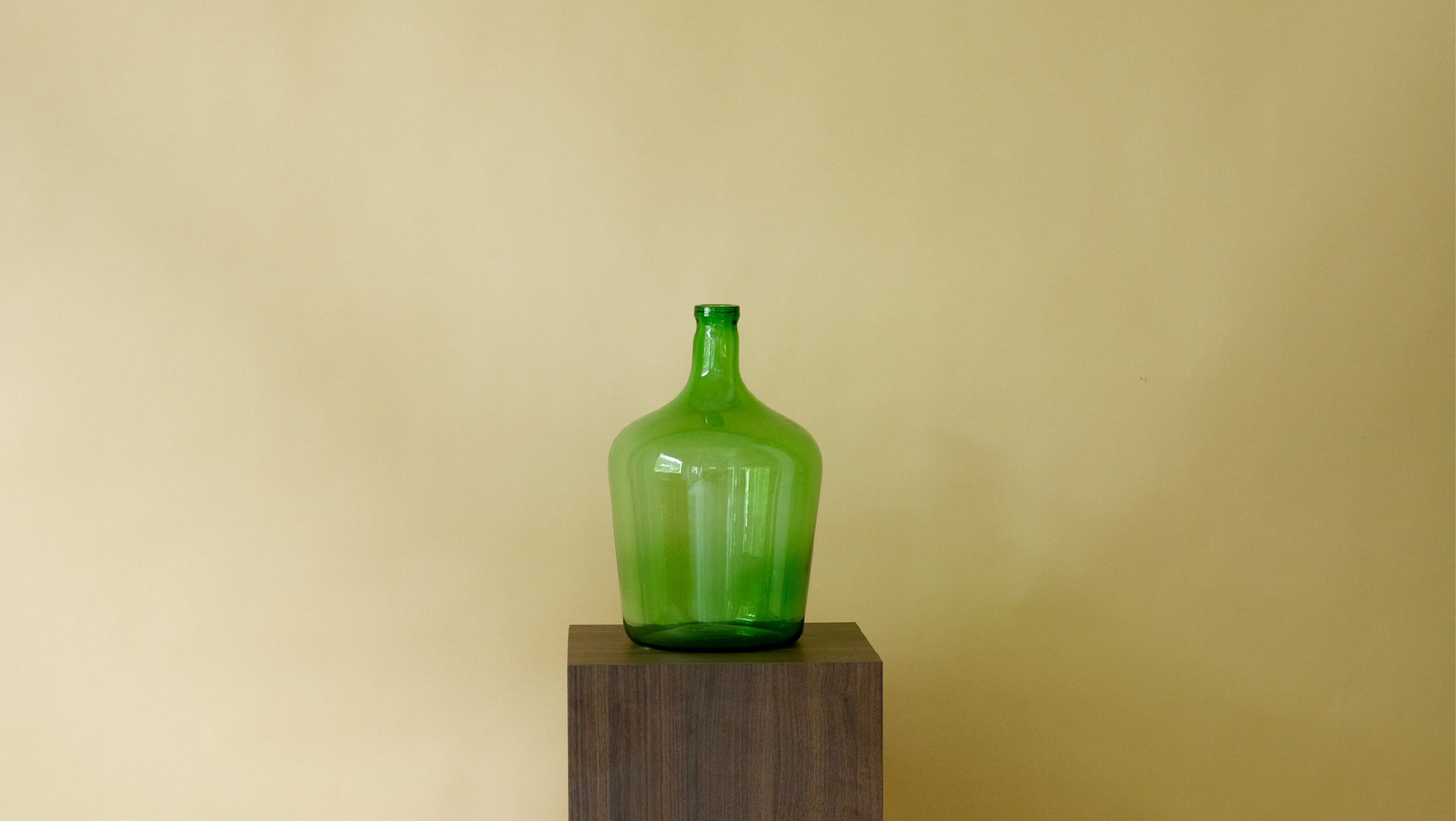 Sizeable Old Grasshopper in Green