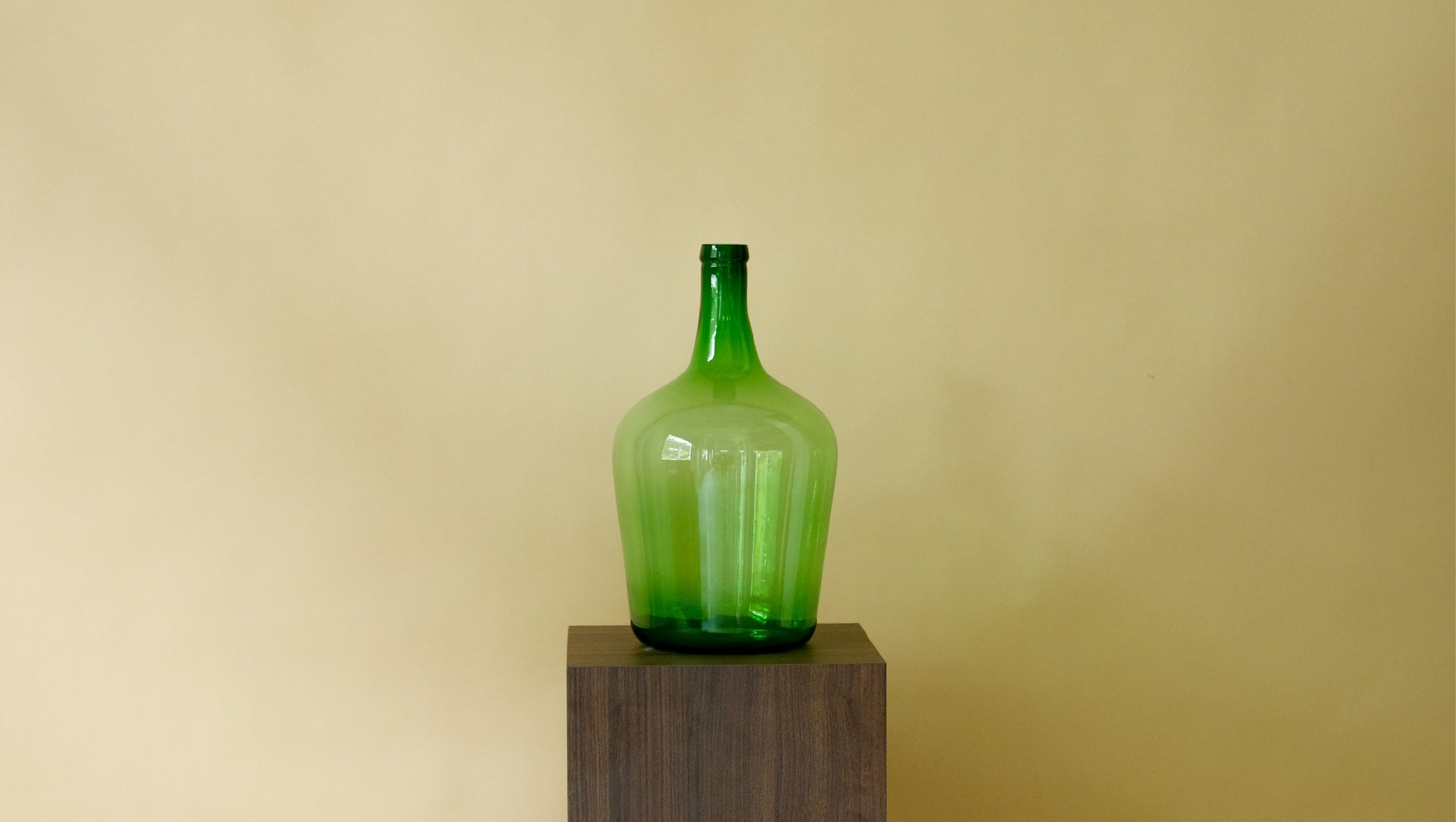 Biggest Old Grasshopper in Green