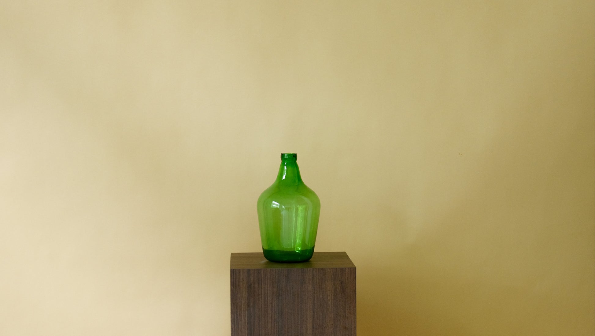 Small Old Grasshopper in Green