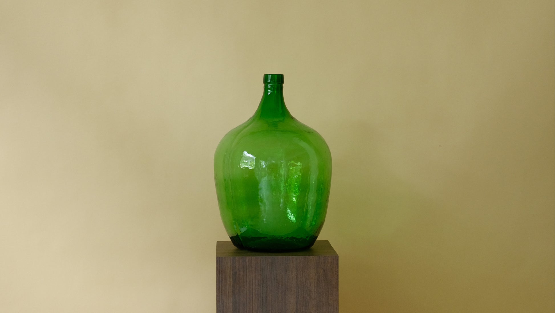 Bigger Than Biggest Old Grasshopper in Green