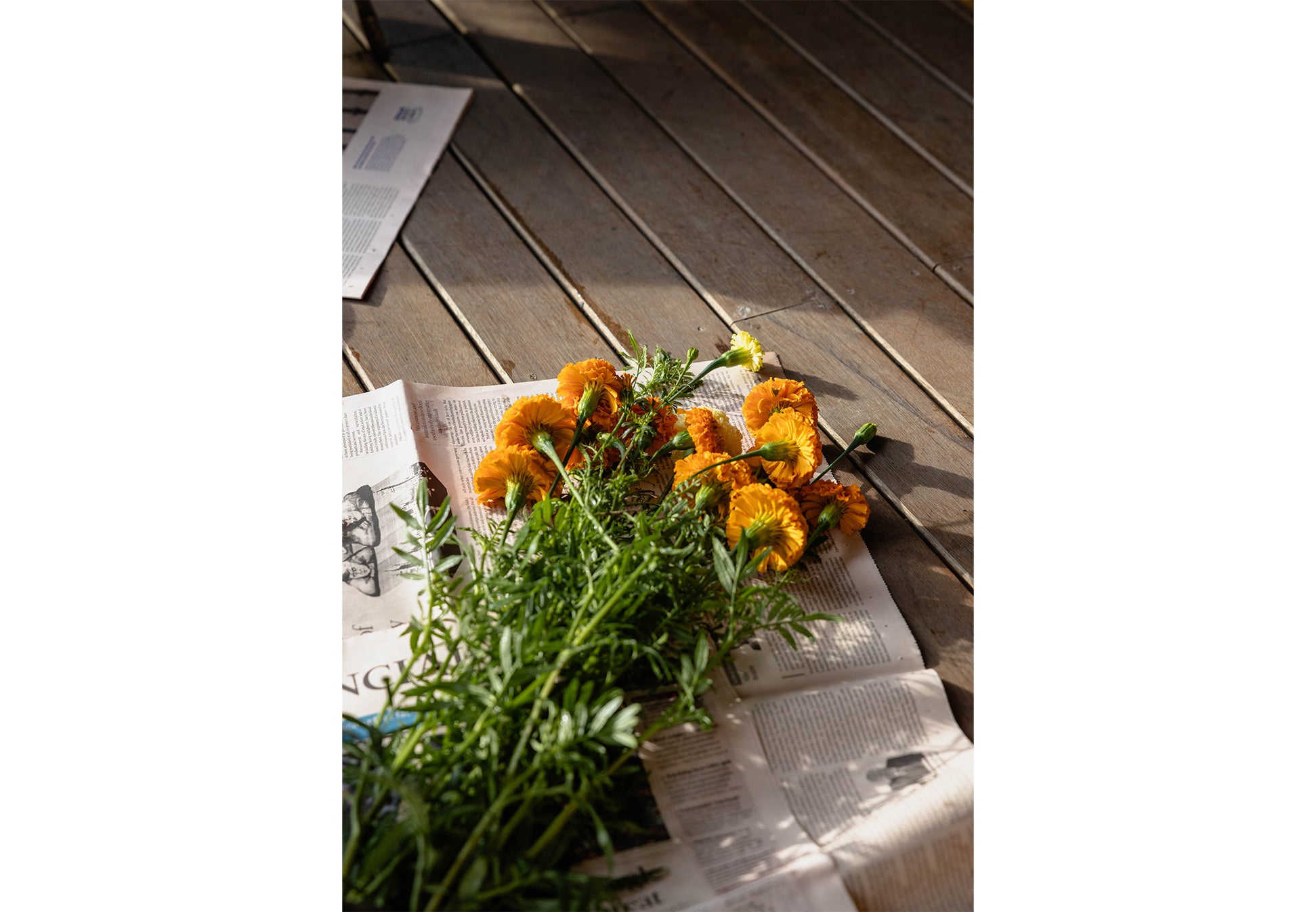 Field Peas: Locally-Grown Garden Flowers Singapore