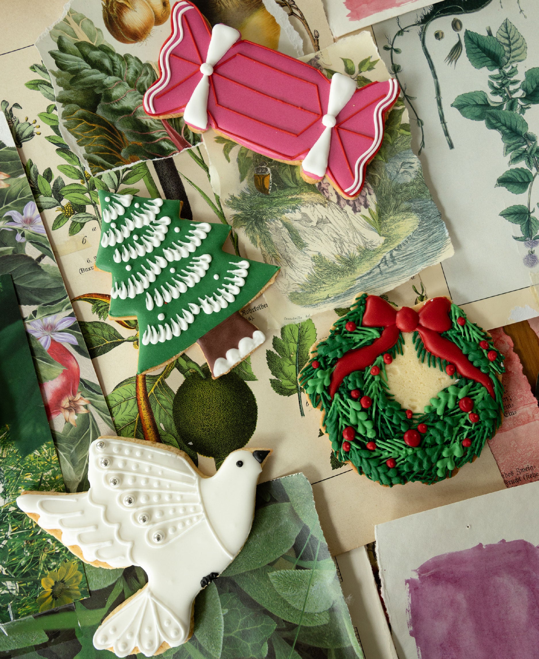 Christmas Biscuit Assortment