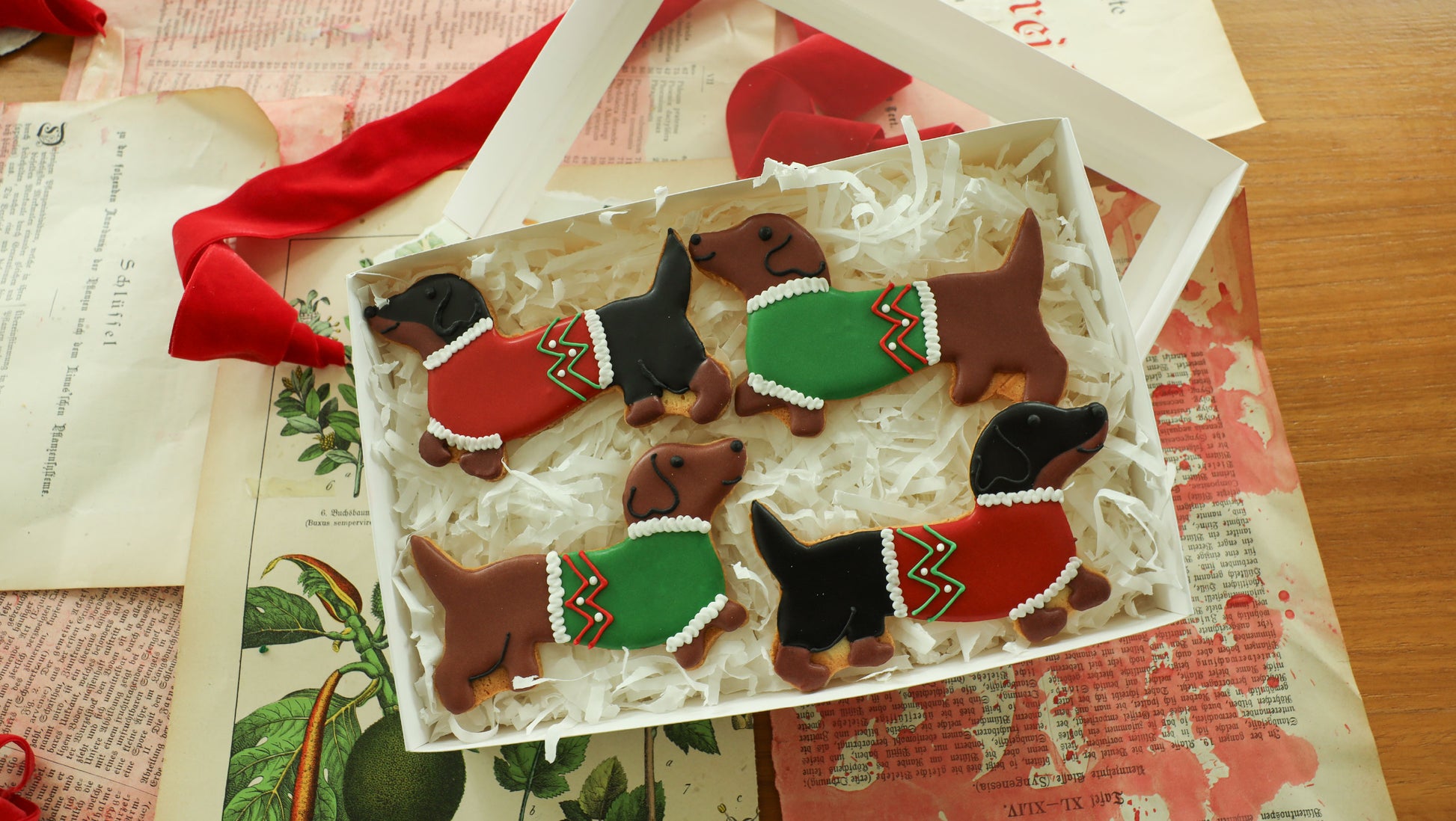 The Sausage Solidarity Biscuit