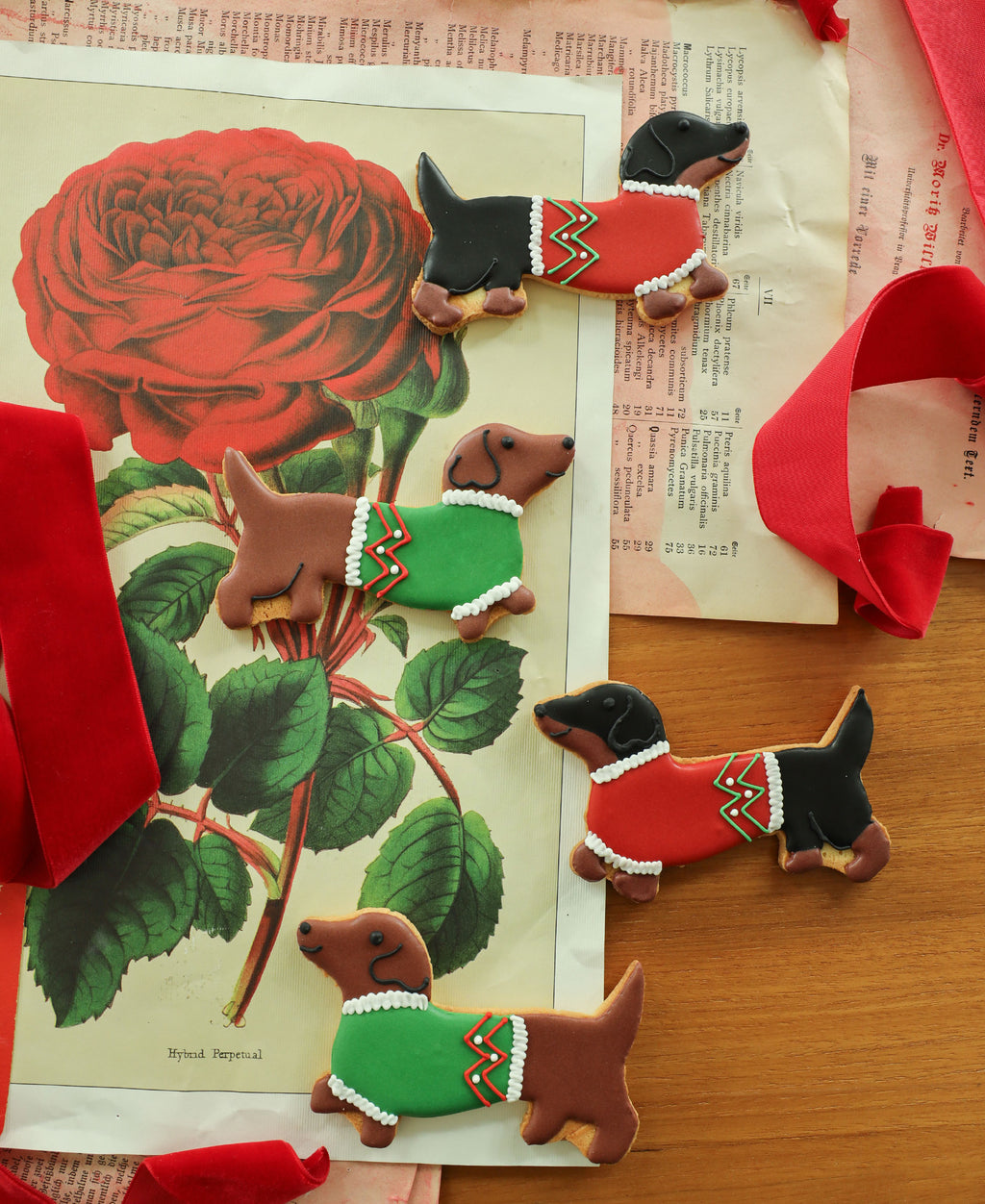 The Sausage Solidarity Biscuit