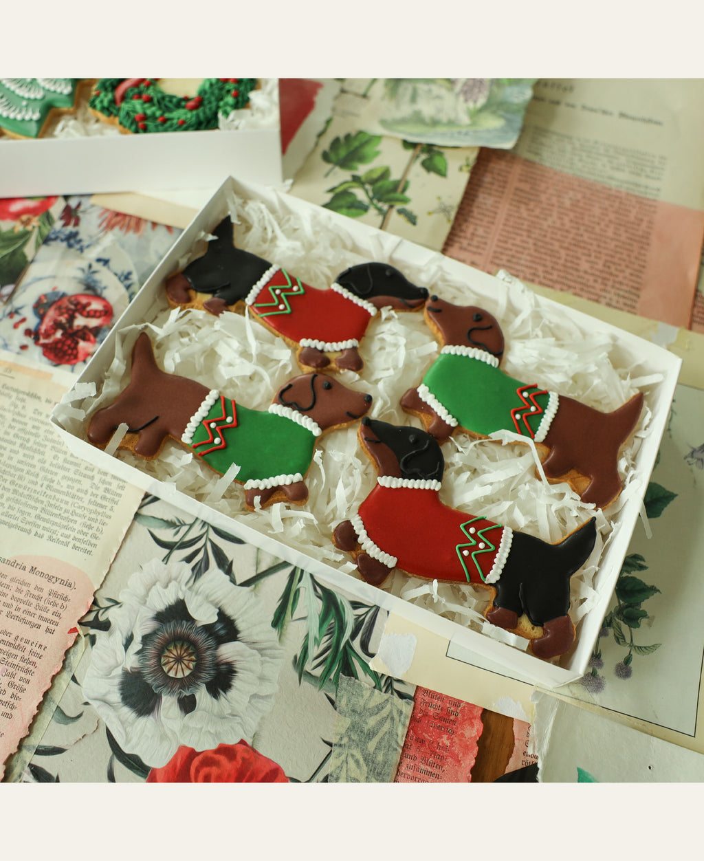 The Sausage Solidarity Biscuit