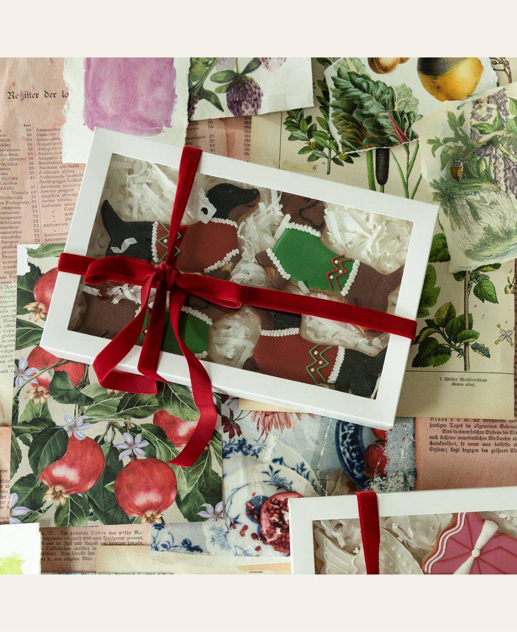 The Sausage Solidarity Biscuit