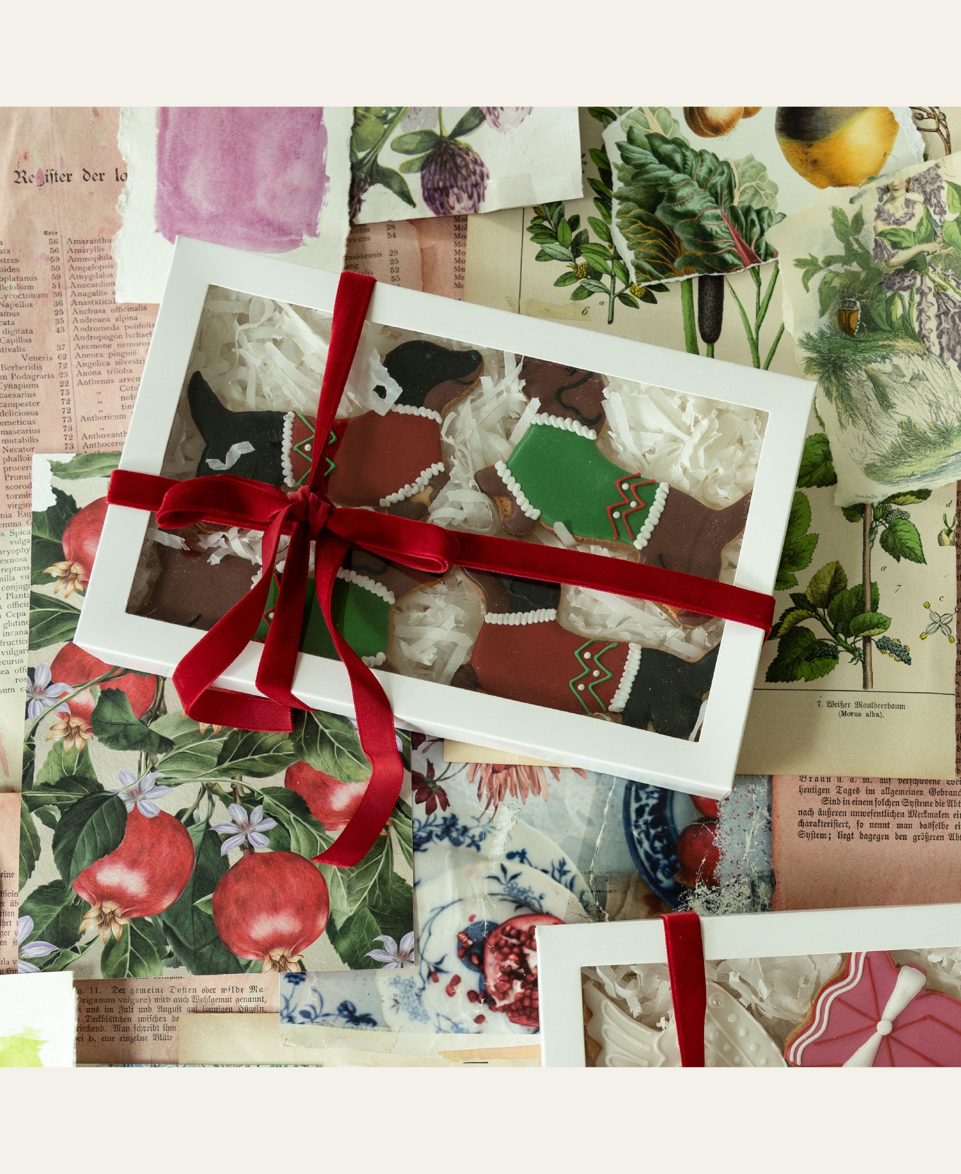 The Sausage Solidarity Biscuit