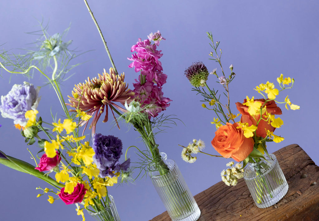 Set of Bud Vases in Hidcote Brights