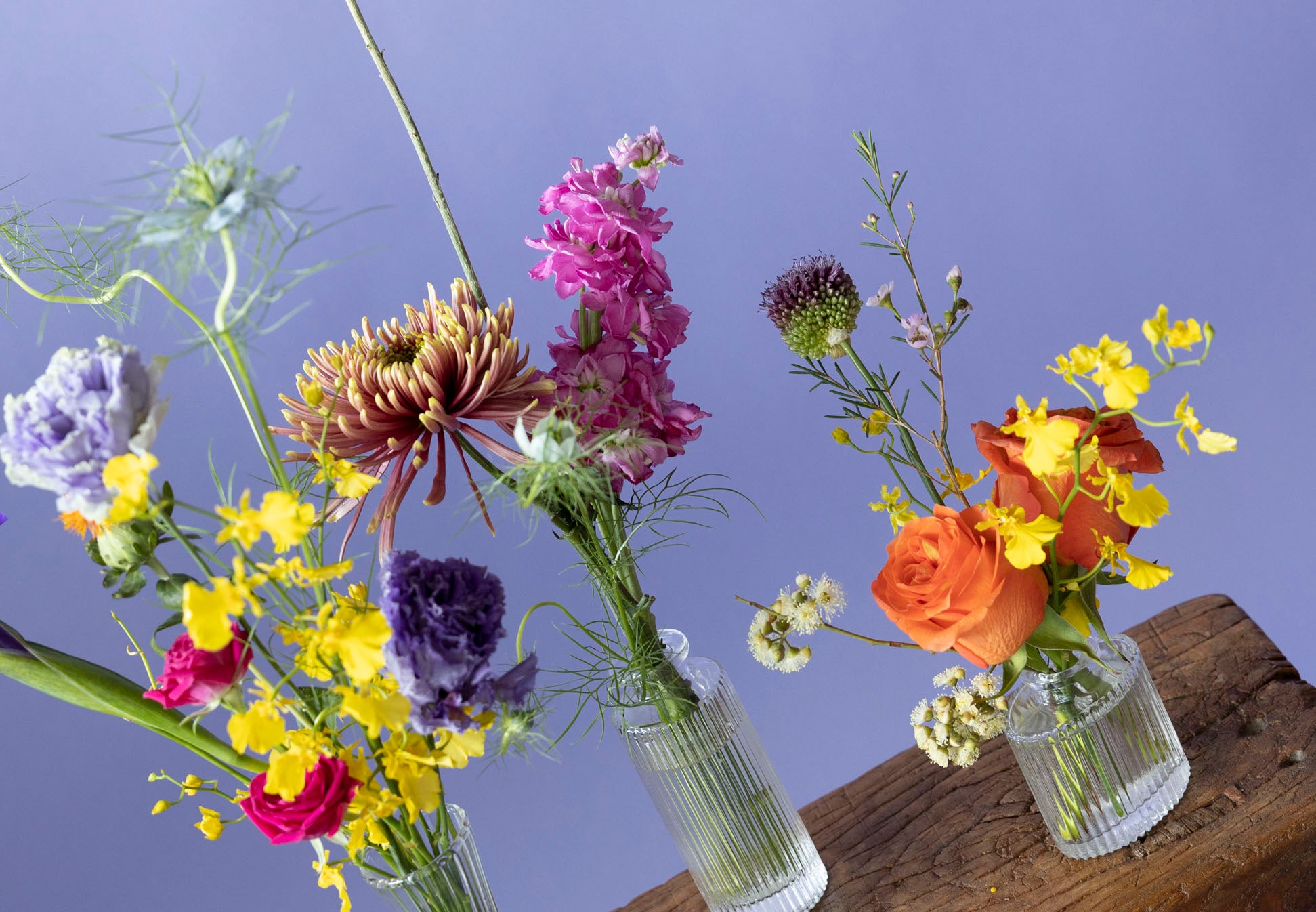Set of Bud Vases in Hidcote Brights