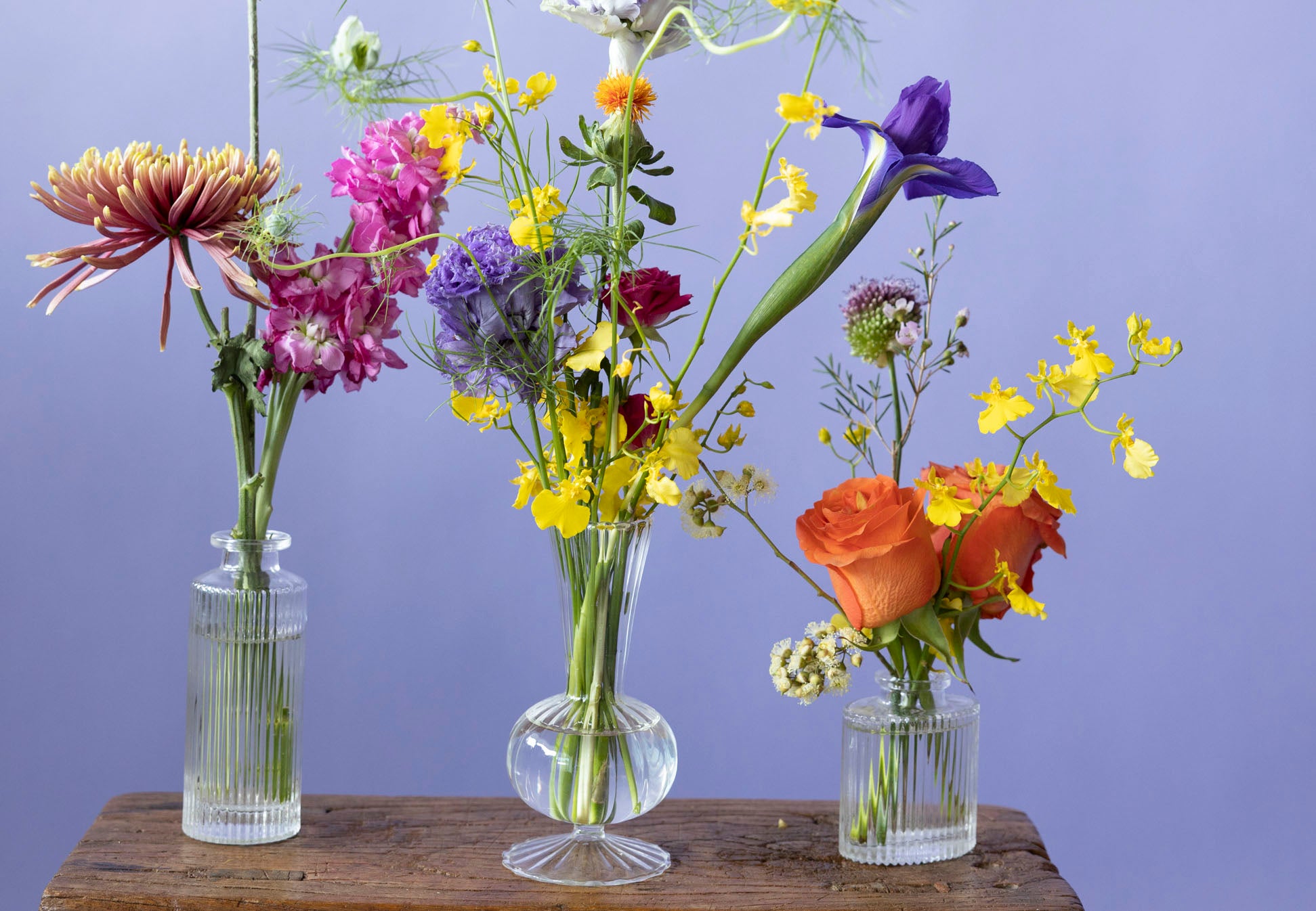 Bud Vases in Hidcote Brights on wooden chair