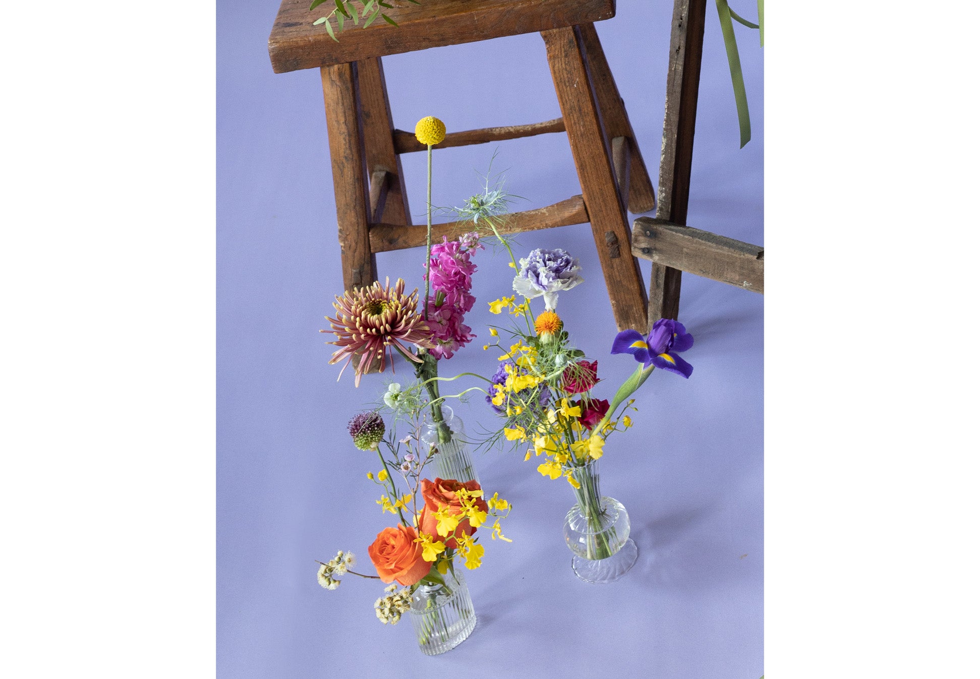 Bud Vases in Hidcote Brights