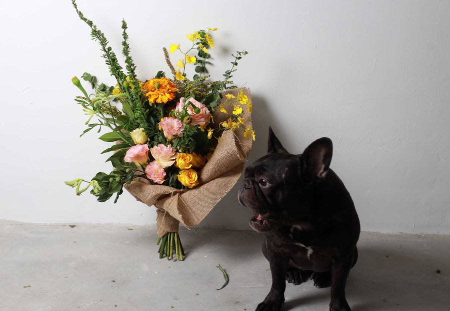 The Market Bunch: Floral Subscription